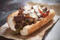 Philly cheese steak sandwich Royalty Free Stock Photo