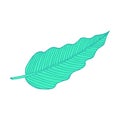 Philodendron leaf. Line art doodle sketch. Mint green on white background. Vector illustration.