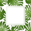 Philodendron Monstera Leaf Banner Card Border. Vector Illustration