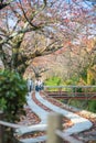 Philosopher`s Walk Tetsugaku No Michi, PhilosopherÃ¢â¬â¢s Path. is a stone path walking trail famous for cherry blossoms