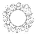 Phisalis Branch Outline Round Frame. Royalty Free Stock Photo