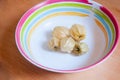 Phisalis inside a dish with colorful detail