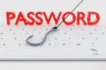 phishing password data with keyboard and hook symbol