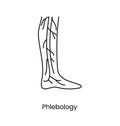 Phlebology icon line in vector, medical illustration of veins on the leg.