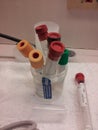 Phlebotomy Blood Tubes Gathered in Cup - Hospital