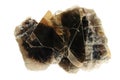 Phlogopite mica Royalty Free Stock Photo