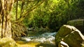 Phnom Kulen National Park, Cambodia