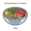 Pho Bo vietnamese soup with beef and rice noodles. Isolated vector illustration Royalty Free Stock Photo