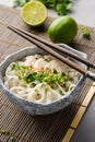 Pho ga, vietnamese chicken rice noodle soup
