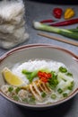 pho soup with chicken meat and vegetables Royalty Free Stock Photo