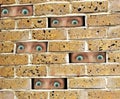 Phobic phobia walls have eyes staring looking watching movement aware awareness surveillance spying spy Royalty Free Stock Photo