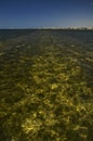 Phoenician road below sea level, Mozia island, Sicily, Italy