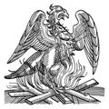 A phoenix obtains new life by rising from the ashes of its predecessor