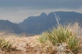 Phoenix, Arizona. Apache Trail scenery Royalty Free Stock Photo