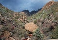 Phoenix, Arizona. Apache Trail scenery