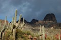 Phoenix, Arizona. Apache Trail scenery Royalty Free Stock Photo