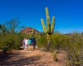 Desert Botanical Garden Phoenix Arizona Cactus