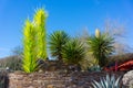 Desert Botanical Garden Phoenix Arizona Cactus art entrance