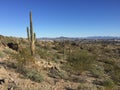Phoenix, Arizona desert landscape and city skyline Royalty Free Stock Photo