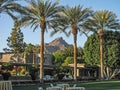 Grounds and desert landscaping of the landmark Arizona Biltmore Hotel against a mountain backdrop
