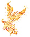 Phoenix as fire flame bird shape