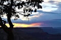 Phoenix bird cloud over canyon