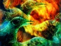 The phoenix bird collage. Royalty Free Stock Photo