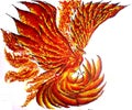 Phoenix Bird