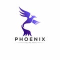 Phoenix Flame logo template