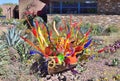 Phoenix, Botanical Garden: Dale Chihuly Installation `Fiori Boat`