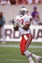 Johnny Bailey, Punt returner Royalty Free Stock Photo