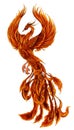 Phoenix Fire bird illustration and character design. Hand drawn Phoenix tattoo Royalty Free Stock Photo