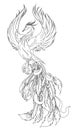 Phoenix Fire bird illustration and character design.Hand drawn Phoenix tattoo Royalty Free Stock Photo