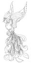 Phoenix Fire bird illustration and character design.Hand drawn Phoenix tattoo