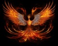 a phoenix in fire Symbol rebirth a phoenix in fire Symbol rebirth Fenix with burning wings and