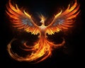 a phoenix in fire Symbol rebirth a phoenix in fire Symbol rebirth Fenix with burning wings and