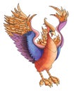 Phoenix Illustration Royalty Free Stock Photo