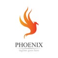 Phoenix logo design vector illustration Royalty Free Stock Photo