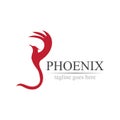 Phoenix logo design vector illustration Royalty Free Stock Photo