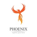 Phoenix logo design vector illustration Royalty Free Stock Photo