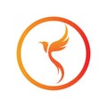 Phoenix logo design vector illustration Royalty Free Stock Photo