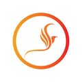 Phoenix logo design vector illustration Royalty Free Stock Photo