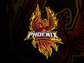 Phoenix mascot sport logo design