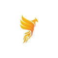 Phoenix modern logo design vector