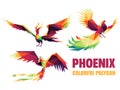 Phoenix Colorful Polygon Set. Flying Phoenix Colorful Logo. Collection of Flying Dragon Low Poly. Colorful Bird Logo Royalty Free Stock Photo