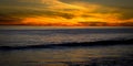 Phoenix at Sunset El Matador state beach Royalty Free Stock Photo