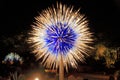 Phoenix - Tempe, Arizona: Botanical Garden - Chihuly Sculpture - Sapphire Star, 2010 - Illuminated