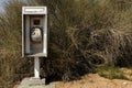 Phone booth in front of a dried bush captured in United Arab Emirates Royalty Free Stock Photo