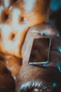 phone in a case lies on a leather chair Royalty Free Stock Photo