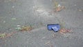 The phone falls to the asphalt and shatters